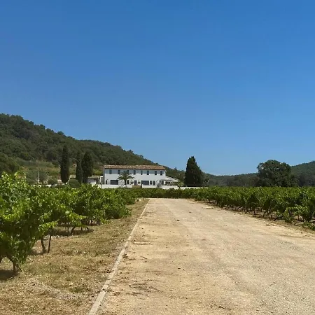 Vigna Estate Willa Grimaud