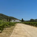 Vigna Estate Villa Grimaud
