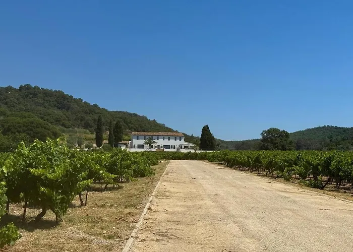 Vigna Estate Villa Grimaud